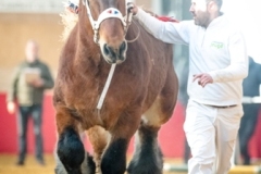 DSC_2394-Souvenir-v-Strijtem