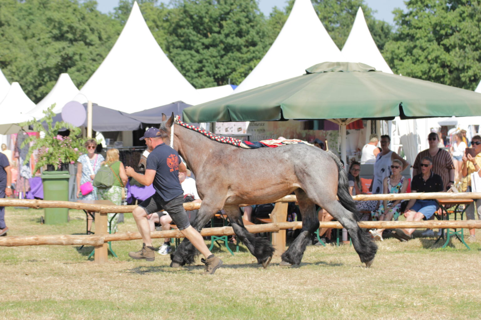 Farm & Country Fair 2023 KVTH